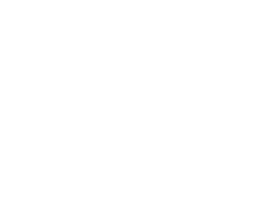 Viktor Netuka Logo